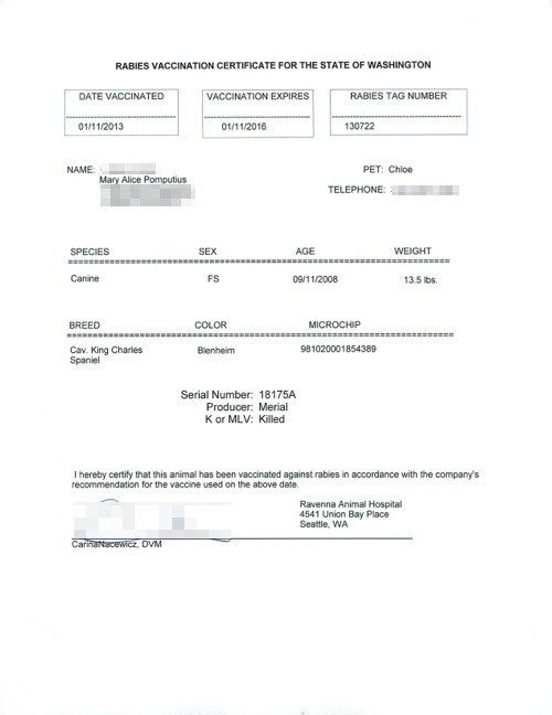 What it looks like: Paperwork for importing your dog into France/E.U ...