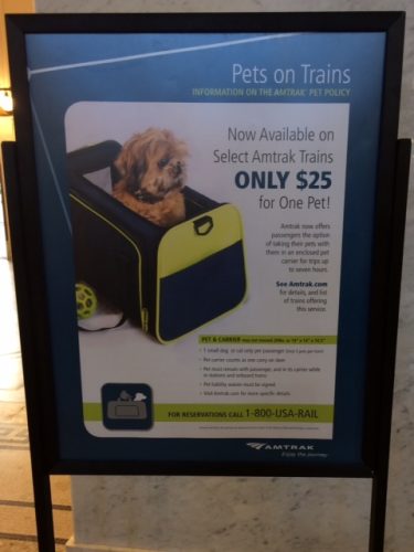 can you take a small dog on amtrak